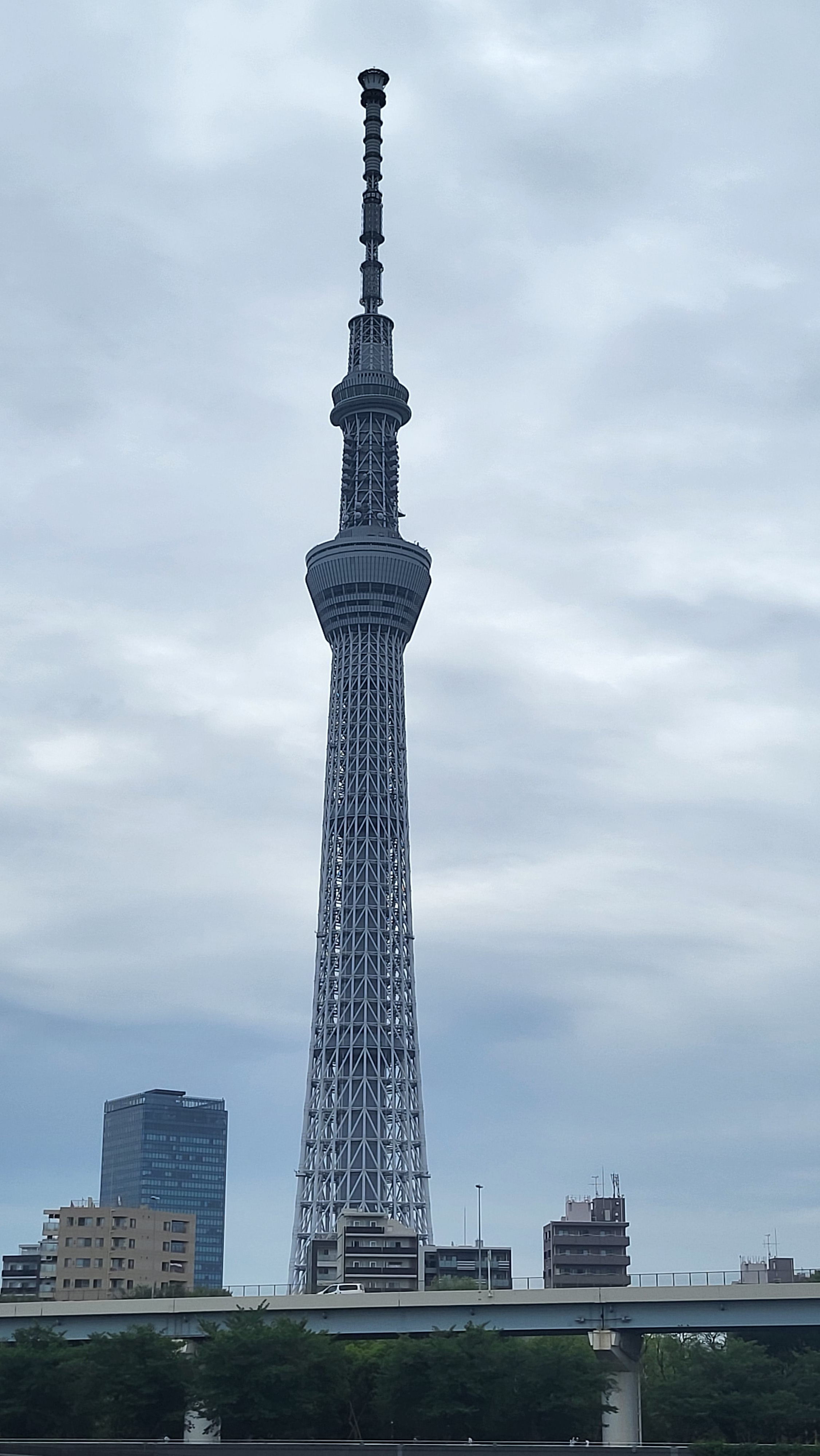 隔著隅田川拍的東京晴空塔