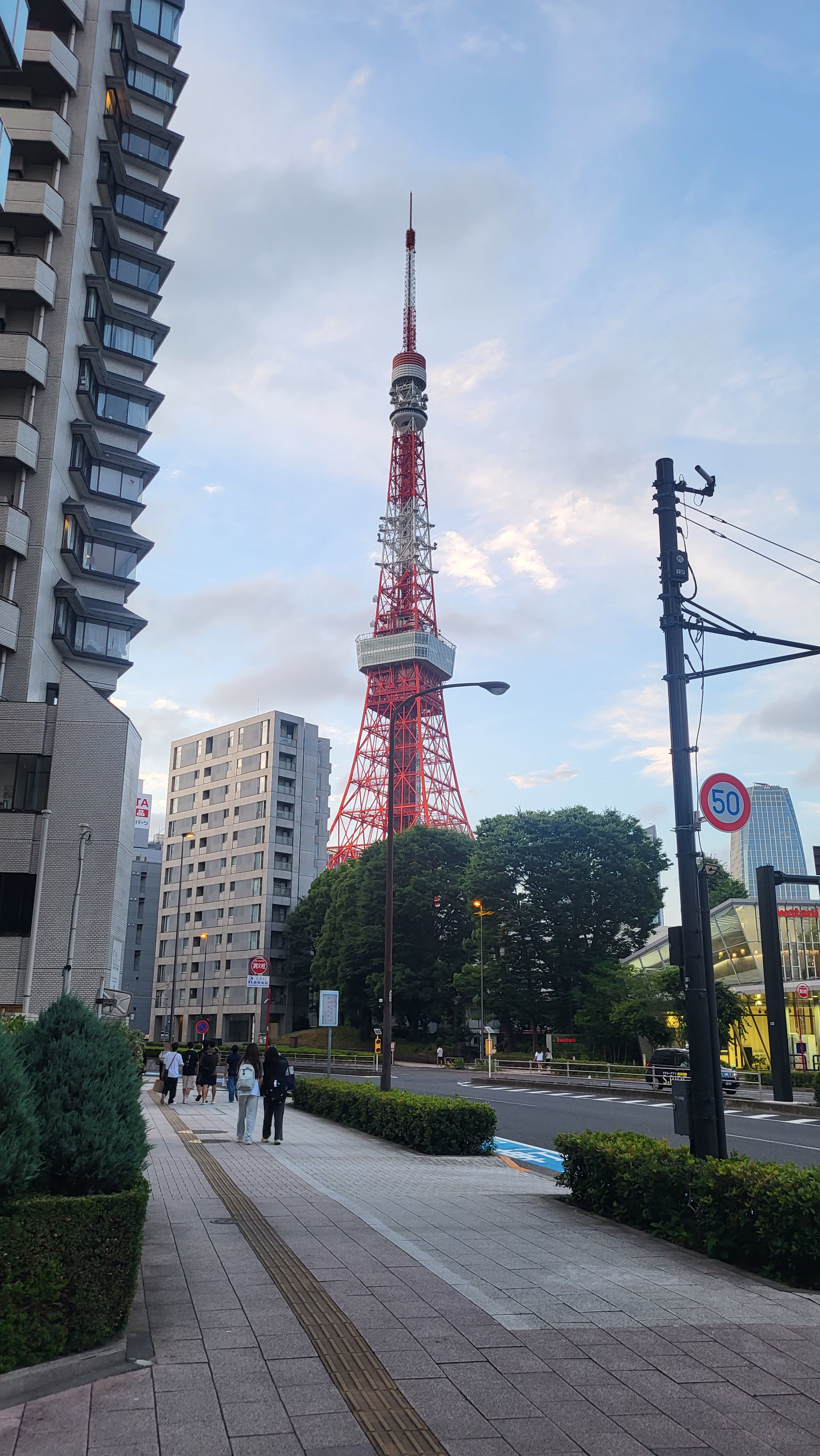 從較遠處拍的東京鐵塔